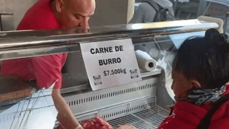 Carne de Burro