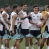 Imagen de Alivio para Scaloni: Argentina recuperó a la mayoría de los lesionados para el debut en el Mundial ante Argelia