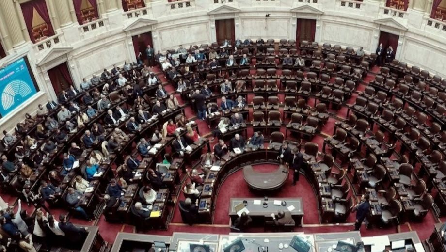 Foto: transmisión Cámara de Diputados. 