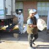 Imagen de ¡No te la podes perder! A qué hora empieza la venta de chivos y corderos de Neuquén en el Mercado Concentrador