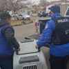 Imagen de Maltrato animal en Neuquén: rescataron a un pitbull luego de una denuncia en AMVOZ