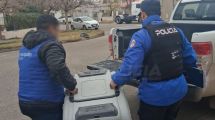 Imagen de Maltrato animal en Neuquén: rescataron a un pitbull luego de una denuncia en la aplicación del Gobierno