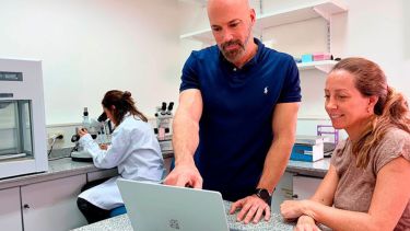 Una tecnología argentina aumentó un 16% los embriones transferibles en tratamientos de fertilización in vitro