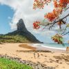 Imagen de Vacaciones en Brasil: del mar turquesa a las aguas cristalinas, cinco destinos para viajar en julio