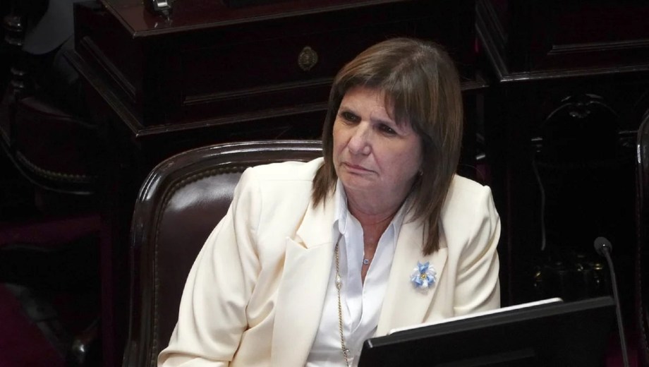 Patricia Bullrich. Foto: NA 