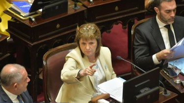 Cuenta regresiva por la ley de propiedad privada: el Gobierno cree que conseguirá los votos en el Senado