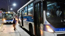 Imagen de Feriado del 15 de junio: así funcionarán los servicios en Neuquén, qué pasará con COLE y SAEM