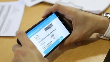¿Quiénes pueden perder el Certificado Único de Discapacidad? Detalles sobre la renovación urgente