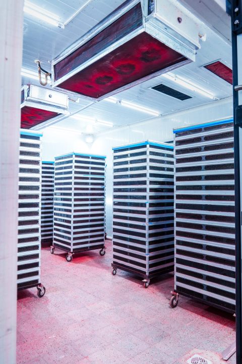 Las instalaciones reducen el estrés fisiológico de los insectos y mejoran su calidad biológica.