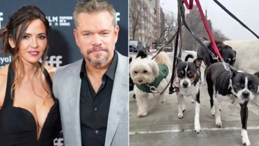 Matt Damon y su esposa argentina tienen cinco perros rescatados: la historia detrás de su familia de mascotas