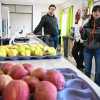 Imagen de En el suelo y la planta está la clave: una respuesta tecnológica para mejorar la producción frutícola en la Patagonia