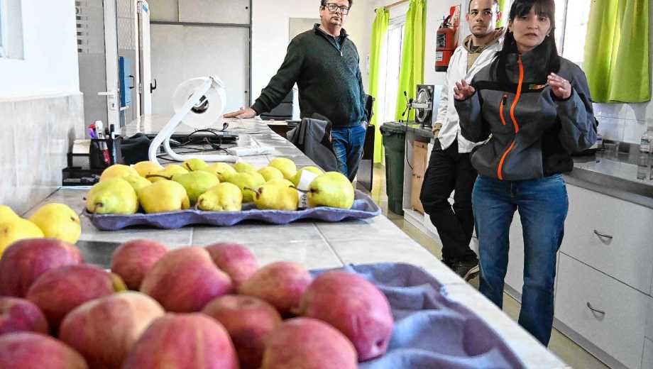 Uno de los laboratorios de la empresa en Roca. Foto: Juan Thomes.