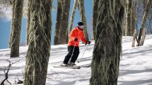 Imagen de Cerro Chapelco y una nueva etapa en San Martín de los Andes, telecabina y más nieve: cuánto salen y cómo sacar los pases