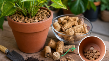 Imagen de No los tires: el truco con los corchos de vino que puede ayudar a tus plantas