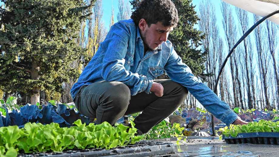 De trabajador rural a referente de frutillas en Valle Medio