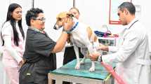 Imagen de La carrera de Medicina Veterinaria más austral del país transforma la economía de Valle Medio, polo ganadero de Río Negro