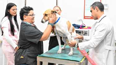 La carrera de Medicina Veterinaria más austral del país transforma la economía de Valle Medio, polo ganadero de Río Negro