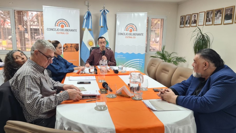 En sesión extraordinaria admitieron el pedido de juicio político para un concejal (Foto: Andrea Vazquez)