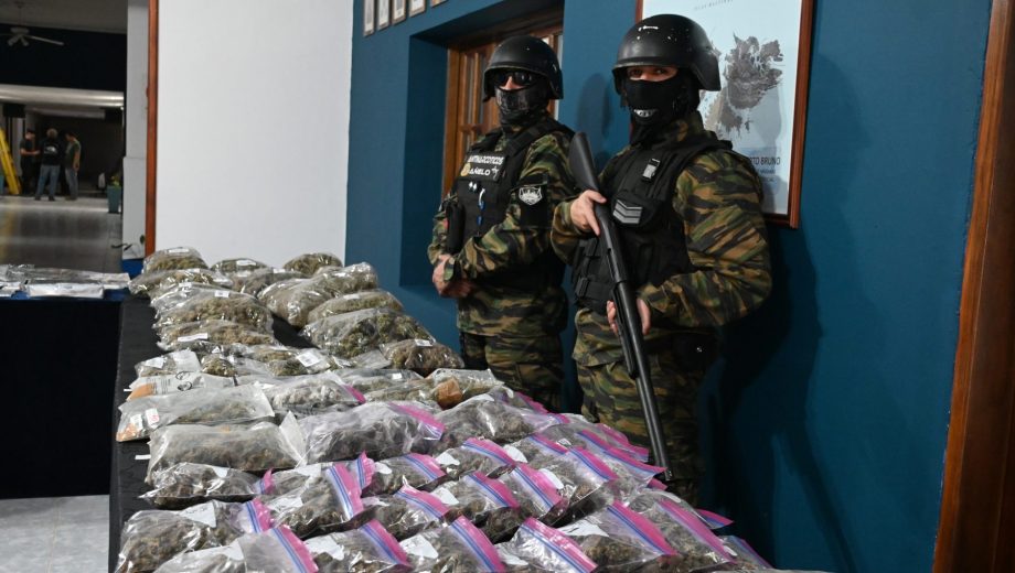 Secuestran $350 millones en droga y armas de guerra en Vaca Muerta: operativos en Añelo y Rincón de los Sauces. Foto: Flor Salto