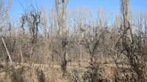 Imagen de Villas agroecológicas: una segunda oportunidad para las chacras en el Alto Valle