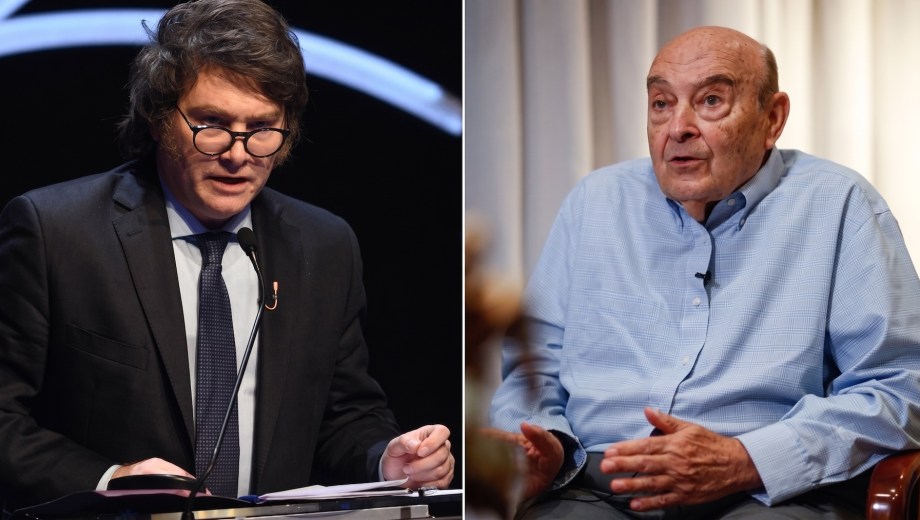 El presidente Javier Milei y el exministro Domingo Cavallo mantienen marcadas diferencias por el impacto del RIGI y el rumbo del mercado cambiario. (Foto: gentileza)