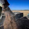 Imagen de Nación oficializó una baja de retenciones para el agro y los biocombustibles