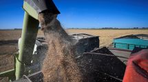 Imagen de Nación oficializó una baja de retenciones para el agro y los biocombustibles