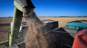 Nación oficializó una baja de retenciones para el agro y los biocombustibles