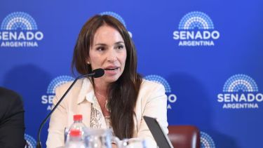 El Senado fijó fecha para definir el futuro de la candidatura de María Michelli que el Gobierno busca retirar