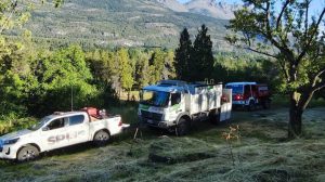 Murió un hombre en un trágico accidente en Río Negro: trabajaba con una motosierra y un árbol se le cayó encima