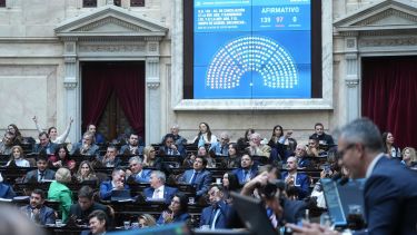 Cómo votaron los diputados de Neuquén, Río Negro y la Patagonia la media sanción del Súper RIGI