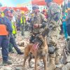 Imagen de Argentina enviará más ayuda a las zonas afectadas por los terremotos en Venezuela  y habilitó una línea telefónica