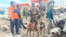 Imagen de Argentina enviará más ayuda a las zonas afectadas por los terremotos en Venezuela  y habilitó una línea telefónica
