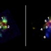 Imagen de Revelan un enigma: con el telescopio James Webb, descubren cómo nacen las galaxias más masivas del Universo