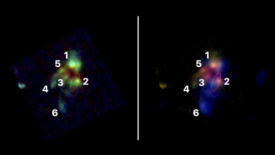 Observan cómo es el proceso de fusión de galaxias que dio origen a las más masivas del Universo. (Gentileza Conicet).