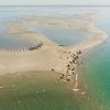 Imagen de El gran espectáculo del Golfo San Matías: ballenas, lobos marinos y paisajes únicos en la costa rionegrina
