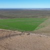 Imagen de Gracias a un clasificado en el diario, ya llevan transformadas más de 1.000 hectáreas de desierto en la Patagonia