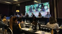 Imagen de Neuquén, una identidad que se bebe: el impacto de sus vinos en Buenos Aires