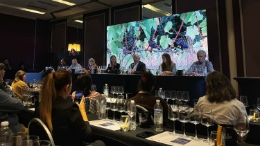 Neuquén, una identidad que se bebe: el impacto de sus vinos en Buenos Aires