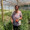 Imagen de La Patagonia expande su red de invernaderos y apuesta a la hidroponía para producir verduras todo el año