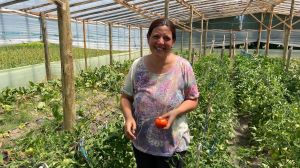 50.000 plantas de lechuga al año y raíces en el agua: la red de Río Negro que busca el autoabastecimiento hortícola en la Patagonia