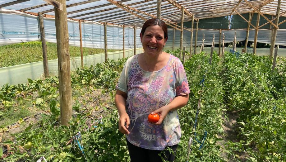 Las hortalizas producidas en los invernaderos se comercializan a través de ferias locales y canales de distribución comunitaria. Foto: gentileza.