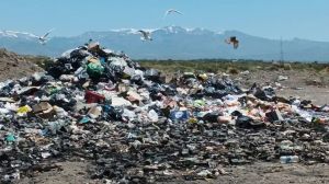 Basurales a cielo abierto: absolvieron a una exintendenta de Neuquén y la jueza dejó una advertencia