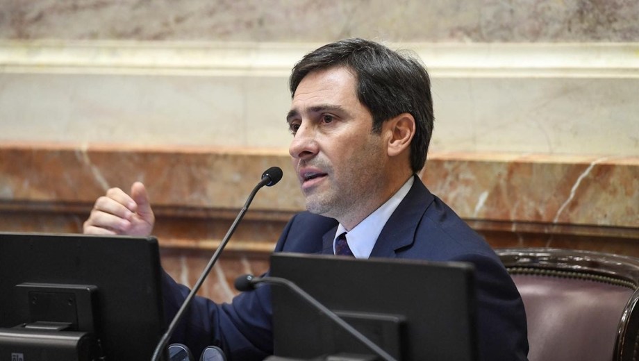 El jefe del bloque del PRO en el Senado, Martín Goerling Lara. (Foto: gentileza)