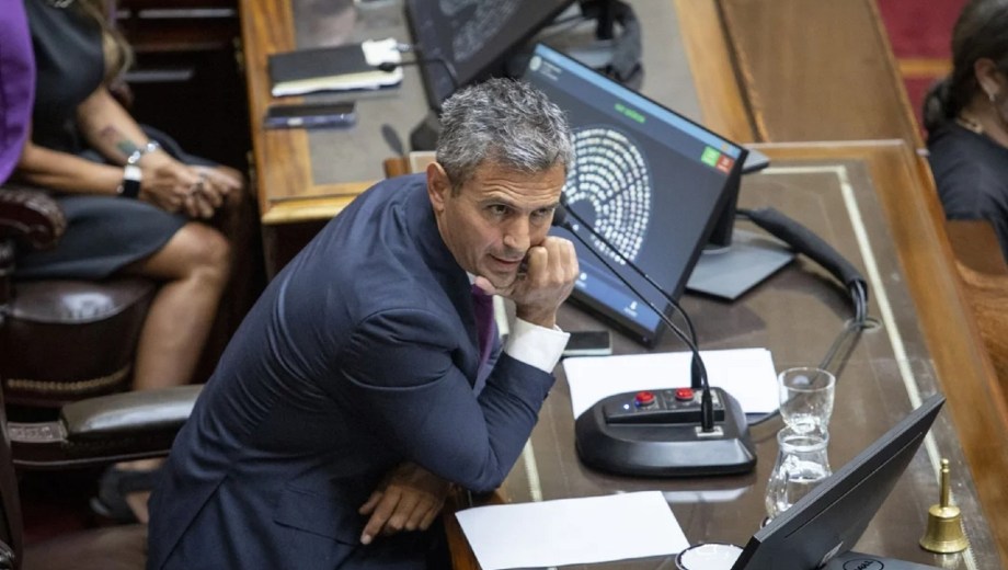 Súper RIGI y Ley de Lobby: el Gobierno retoma la iniciativa en Diputados. Foto: NA 