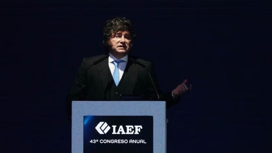 Javier Milei. Foto: NA 