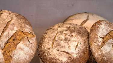 Le Pain Quotidien abre su primer local en Neuquén: panes de masa madre y un menú para todo el día