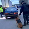 Imagen de Amplio operativo policial sobre la Ruta 22: identificaron a 56 personas y controlaron más de 50 vehículos