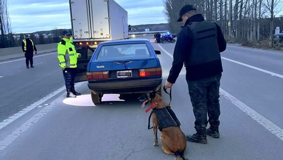 Amplio operativo en Ruta 22.