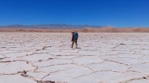 Imagen de Litio en Salta: buscan un tercer inversor para la primera fase del proyecto Pozuelos-Pastos Grandes
